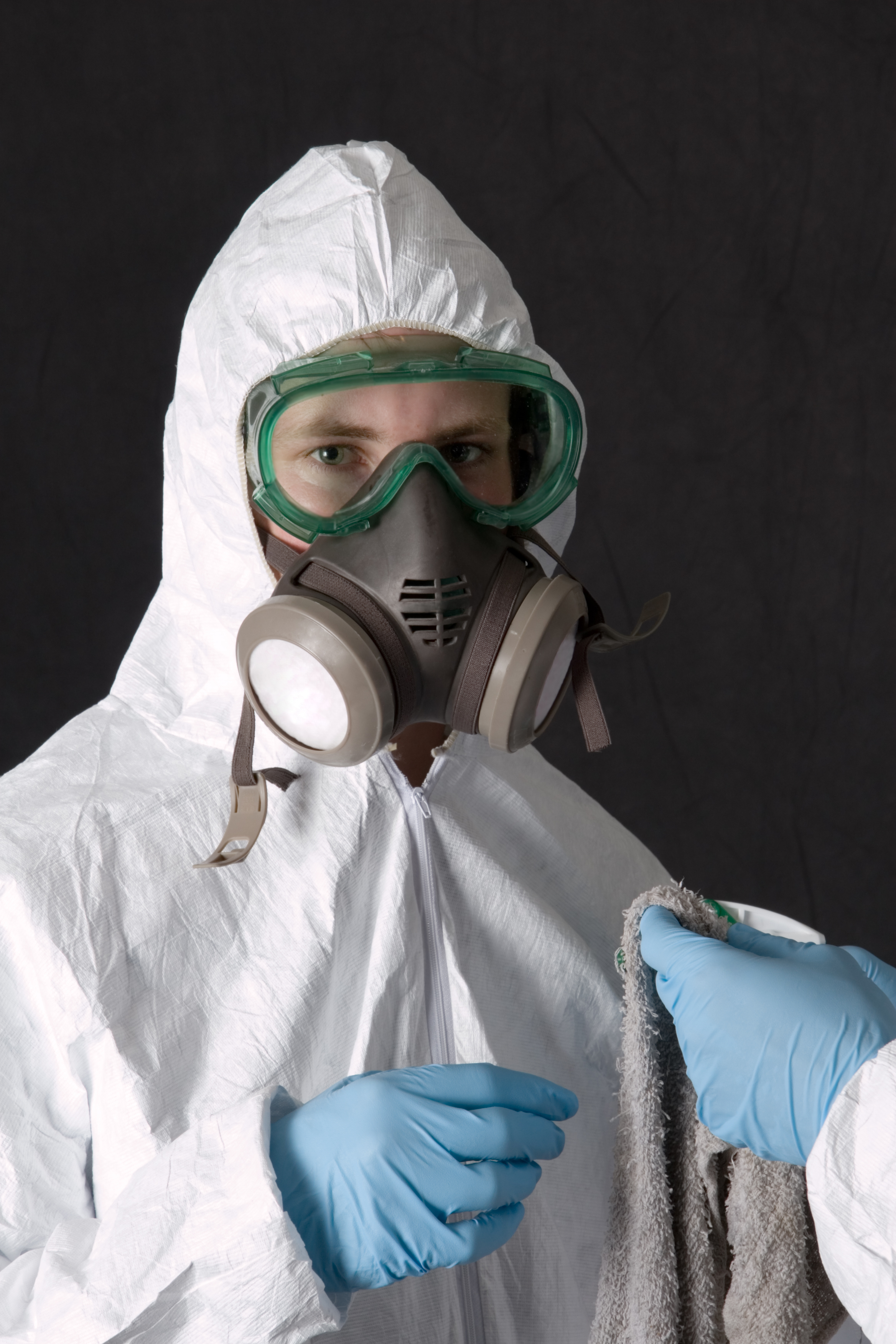 Mold Removal Companies Near Me