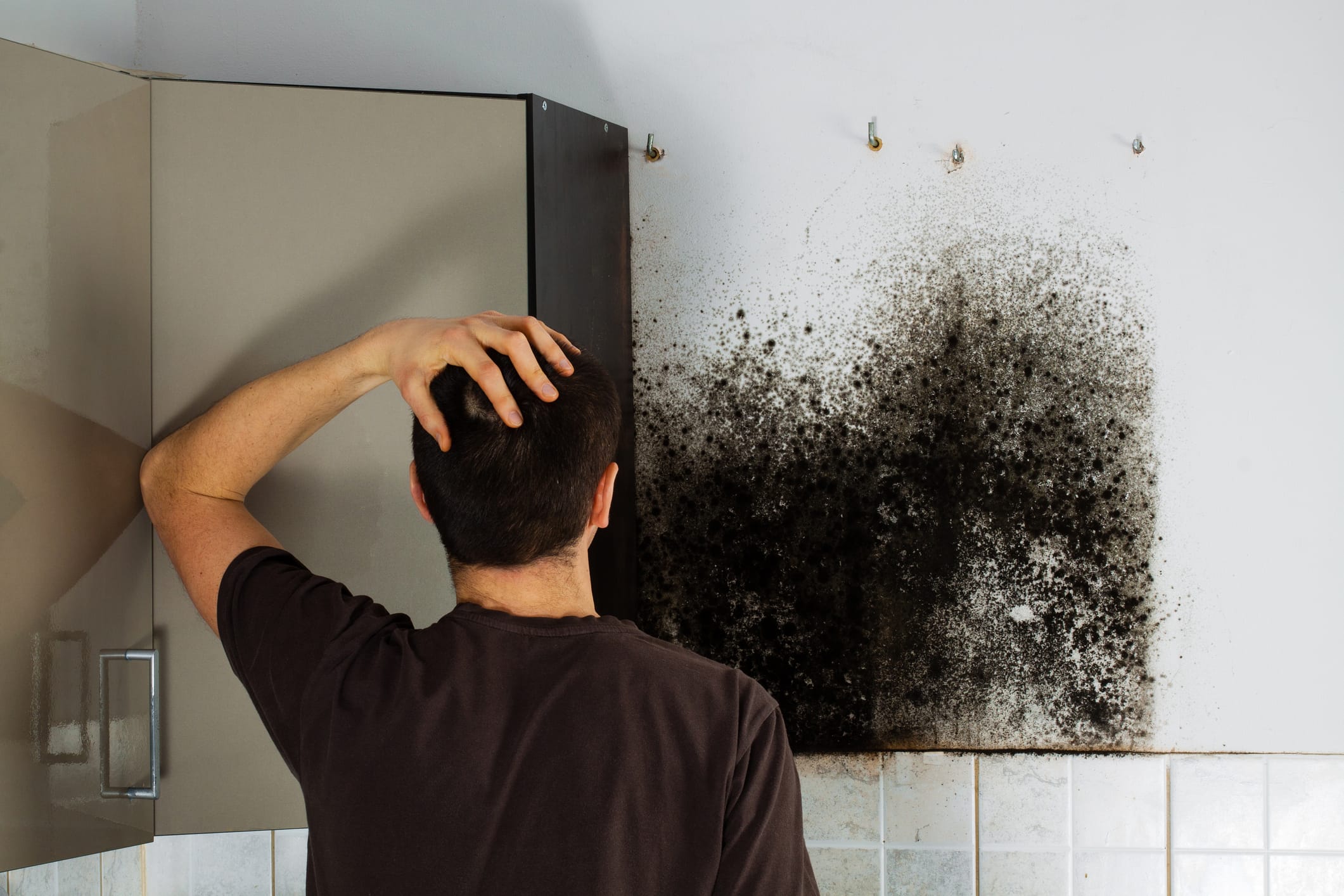 4 Home Maintenance Practices To Prevent Water Leaks And Mold