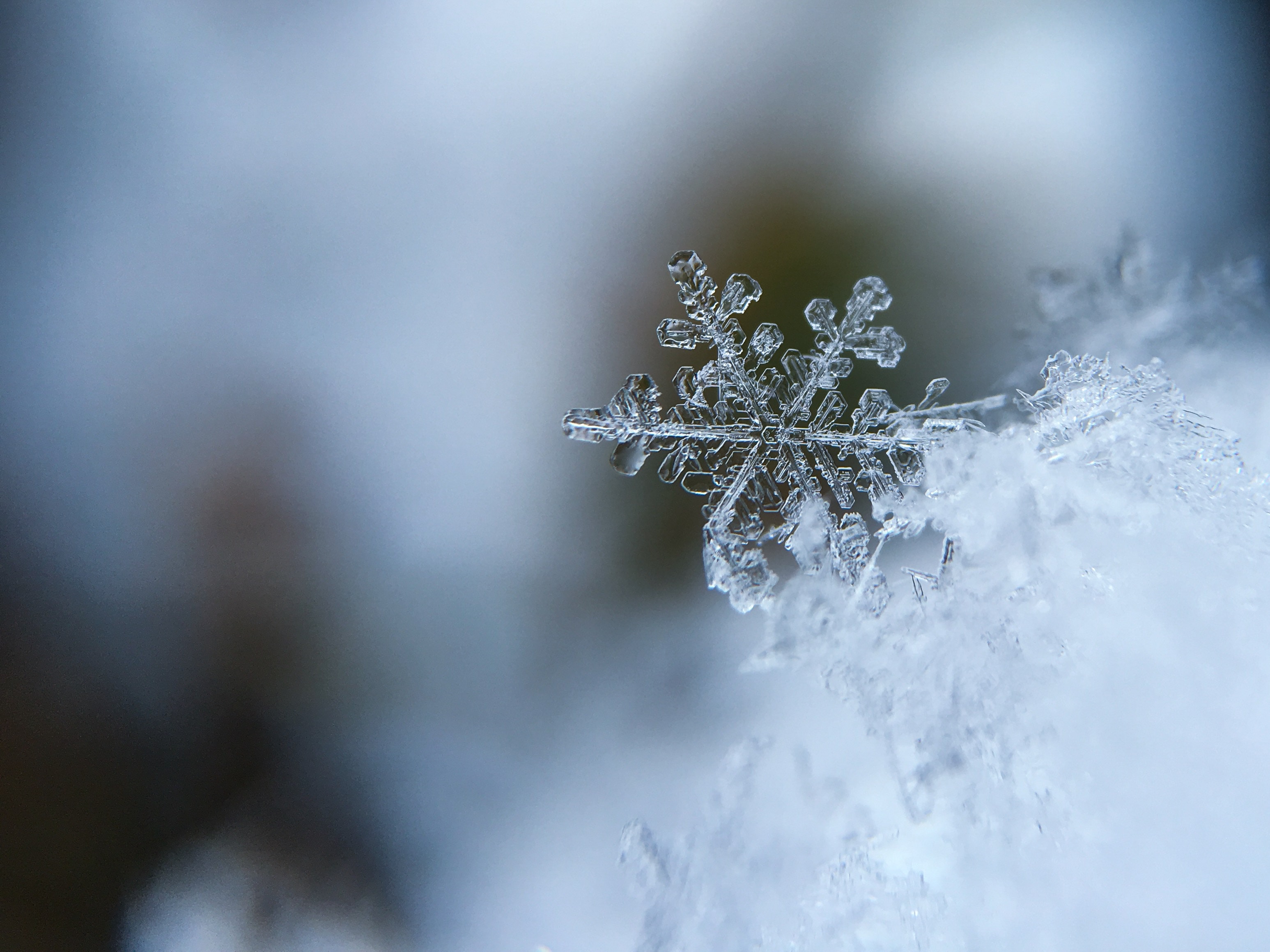 close up of snowflake and ice RDS Environmental Colorado